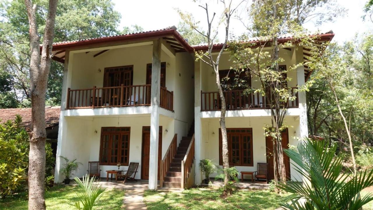 Isanka Lion Lodge Sigiriya Dış mekan fotoğraf