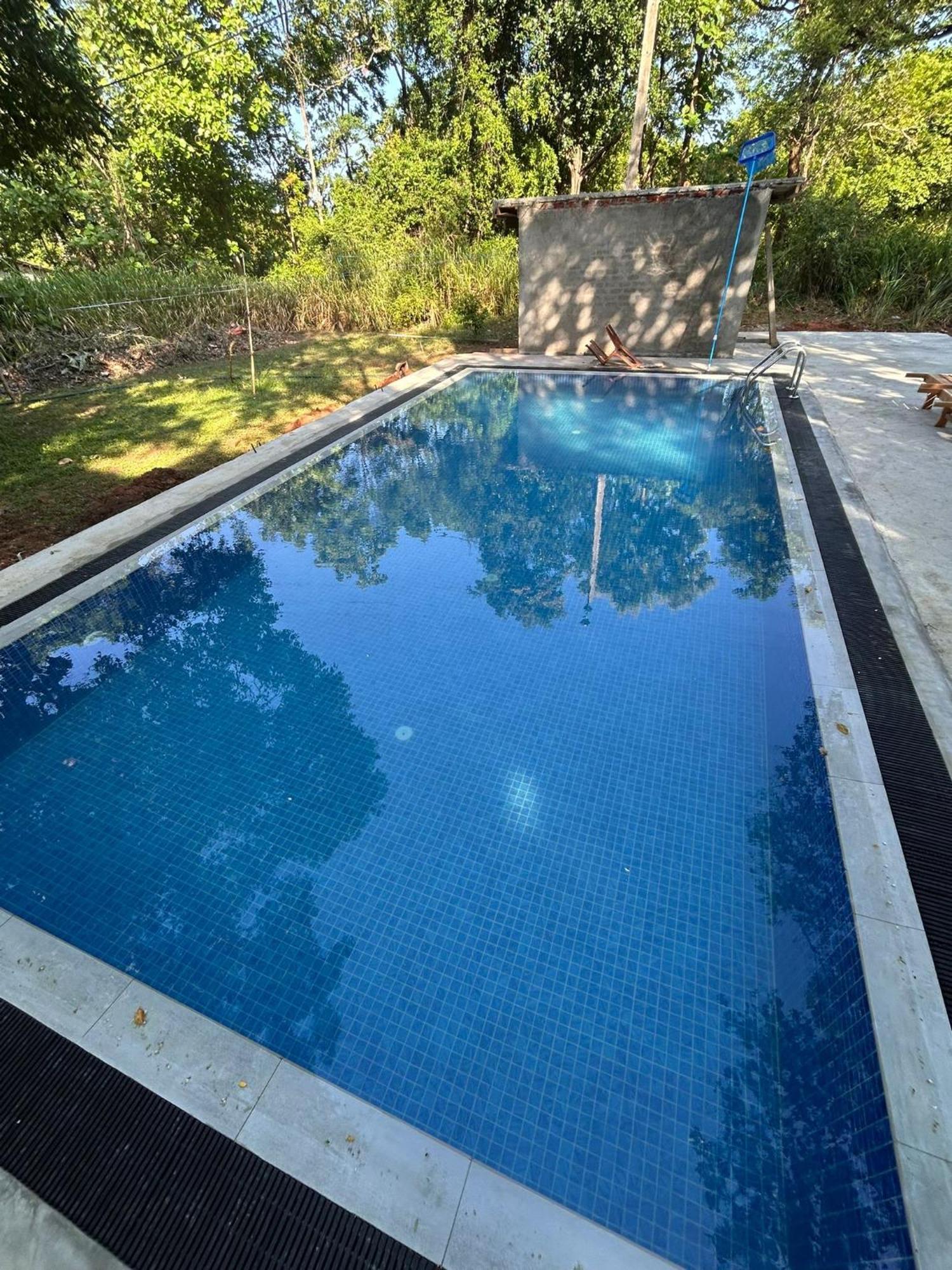Isanka Lion Lodge Sigiriya Dış mekan fotoğraf