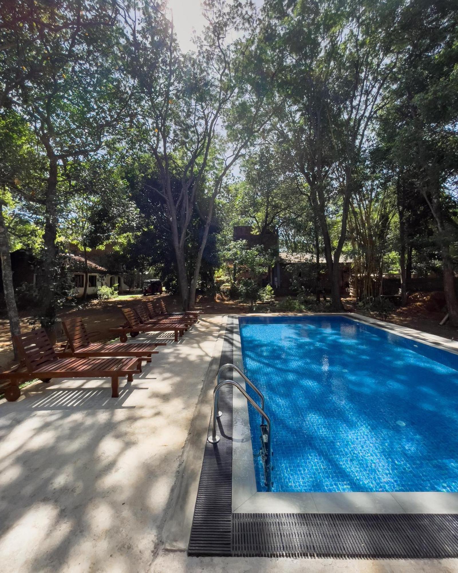 Isanka Lion Lodge Sigiriya Dış mekan fotoğraf
