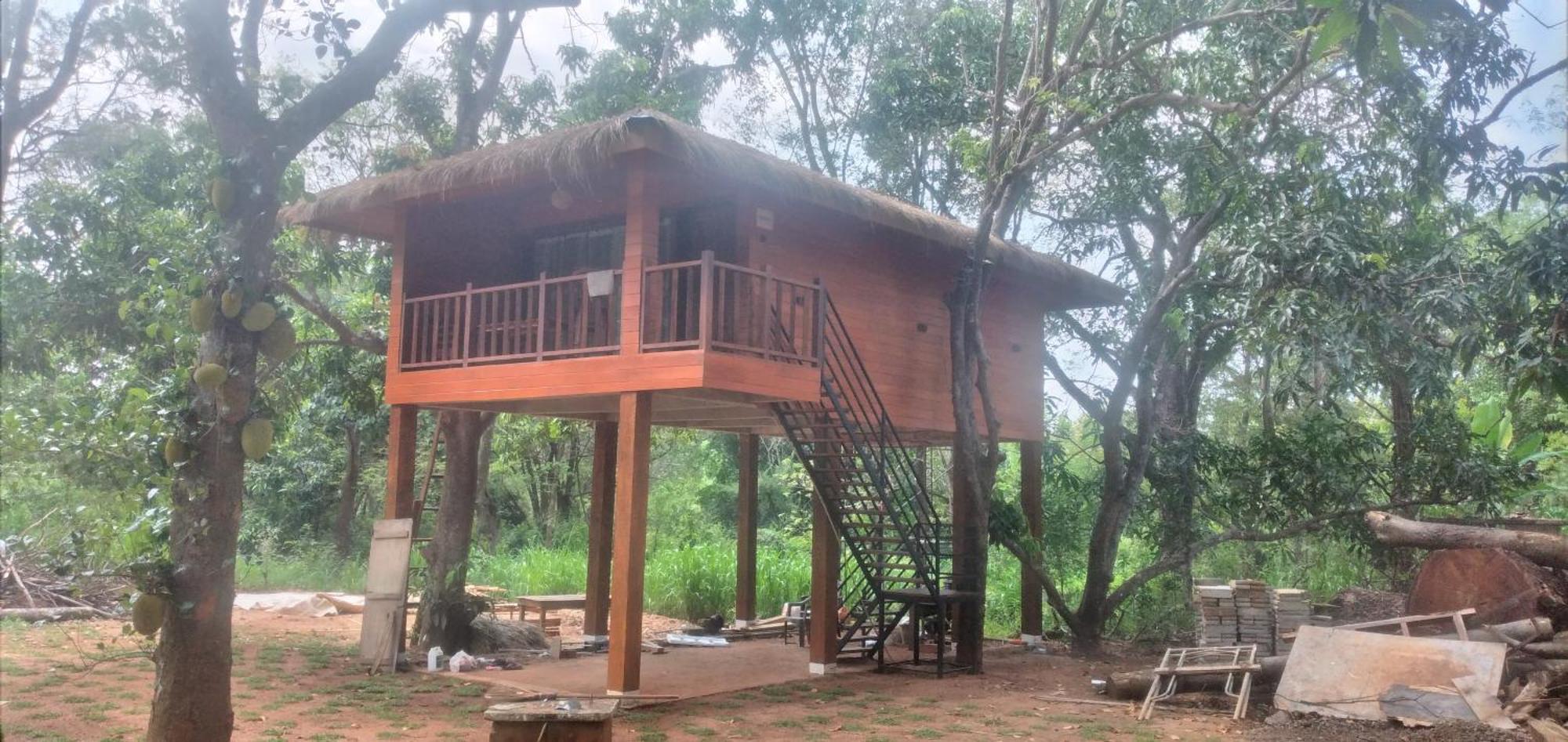 Isanka Lion Lodge Sigiriya Dış mekan fotoğraf
