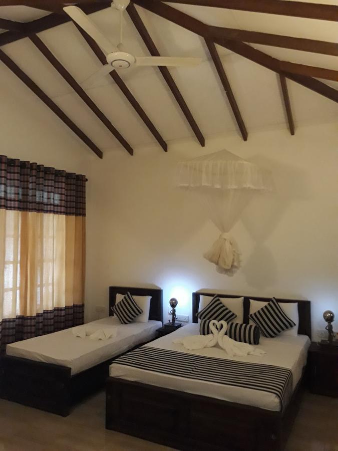 Isanka Lion Lodge Sigiriya Dış mekan fotoğraf