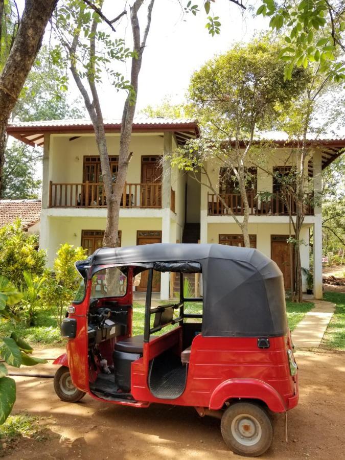 Isanka Lion Lodge Sigiriya Dış mekan fotoğraf